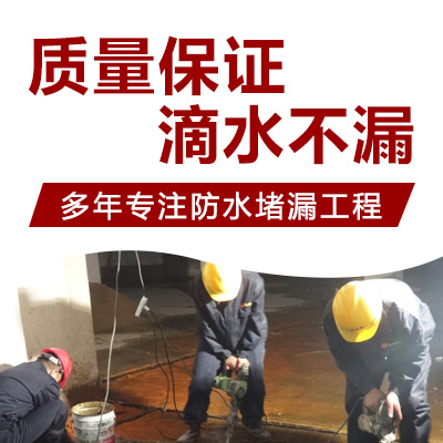 蒋湖农场防水堵漏工程