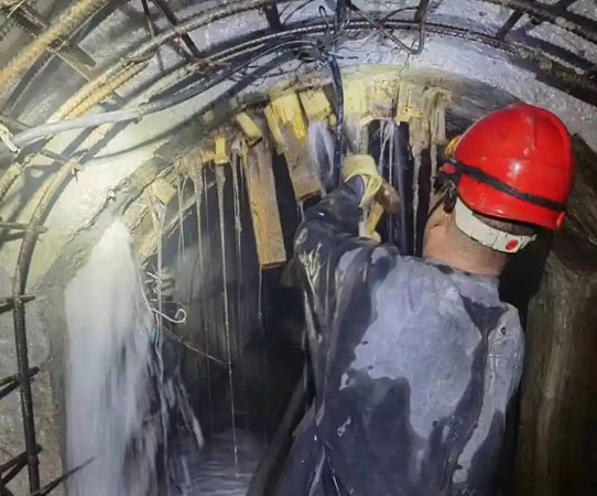 蒋湖农场大坝堵漏