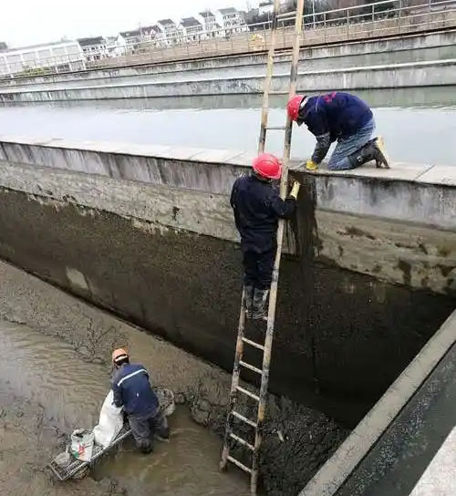 蒋湖农场污水池堵漏